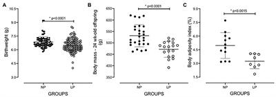 Gestational and Breastfeeding Low-Protein Intake on Blood Pressure, Kidney Structure, and Renal Function in Male Rat Offspring in Adulthood